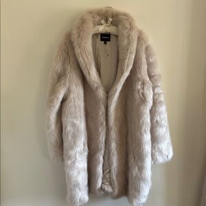 Luxurious Express Faux Fur Coat
